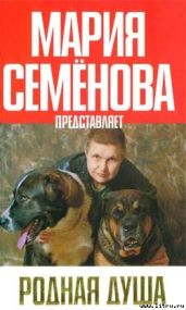 Идентификация-2 - Карасёва Наталья
