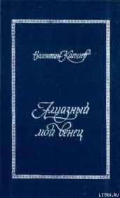 Трава забвенья - Катаев Валентин Петрович