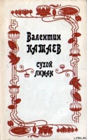 Юношеский роман - Катаев Валентин Петрович