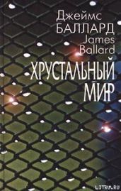 Эндшпиль - Баллард Джеймс Грэм
