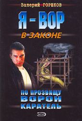 Каратель - Горшков Валерий Сергеевич