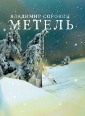 Метель - Сорокин Владимир Георгиевич