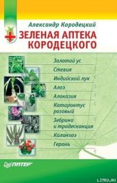 Зеленая аптека Кородецкого: золотой ус, индийский лук, стевия и другие - Кородецкий Александр Владимирович