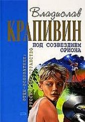 Под созвездием Ориона - Крапивин Владислав Петрович